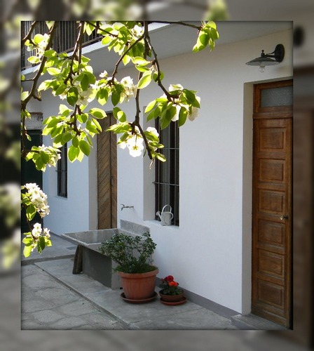 BBAutin's profile picture. 