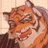 Kaisl0ttyfur's profile image