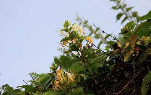 kingtank77's profile picture. 수꼴 팔로우 금지