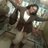 kitteZCandii's profile image
