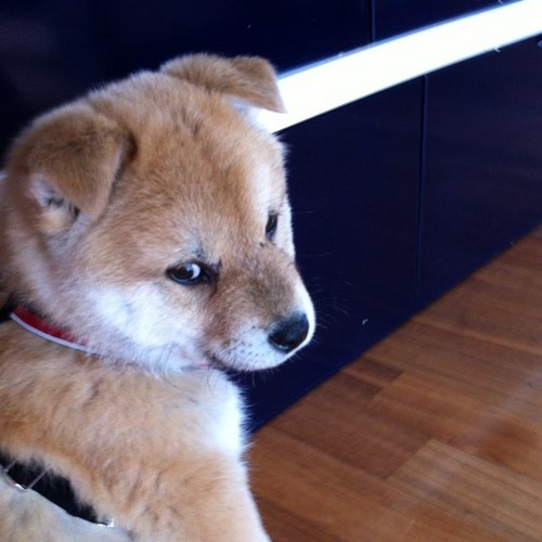 designerno's profile picture. 오토캠핑,rc카,여행,영화감상  등등을 좋아합니다..^^  짐 하는일은 인테리어삼실에 다니고 있고요^^  많이들 팔걸어주세요^^