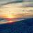 rosa_REL's profile image