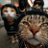 osamu8221's profile image