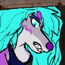 Joshdafox Profile Picture
