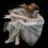 NTyby92297's profile image