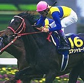 aircocodor's profile picture. 競馬音楽声優高校野球/島袋寛子/武豊/藤田菜七子/永島まなみ/Rosalia de Souza/坂本真綾/小島麻由美/中塚武/宮村優子/豊崎愛生/林原めぐみ/丹下桜/ゆかりん/長縄まりあ/のんのん/EVA/けいおん/たまこま/たまゆら/あいうら/ちはや/VE/陽あたり良好/氷菓/ARIA/ウテナ/ゆるゆり/馬券≠心情