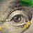 MadMonero's profile image