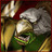 hupiser9010's profile image