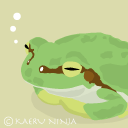 airant's profile picture. 日々お筝練習中。仕事はDTP。