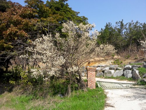 hsjdr111's profile picture. 