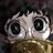 itsukaonline's profile image