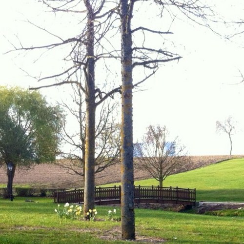 dampierre_burly's profile picture. Dampierre-en-Burly est une commune française située dans le département du Loiret et la région Centre : Mes tweets n'engagent en rien ma commune  #Dampierre