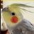 GAD0RO's profile image