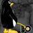 pghalways's profile image