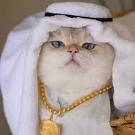 Sultan Barsik