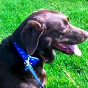 Jackie Eagle - @JackieEagle1 - Twitter