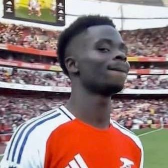 Certified Arsenal Fan