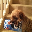 matt barlow - @BarlowMatt - Twitter