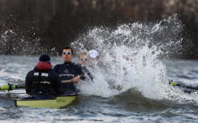 BRProtester's profile picture. Serial protester.