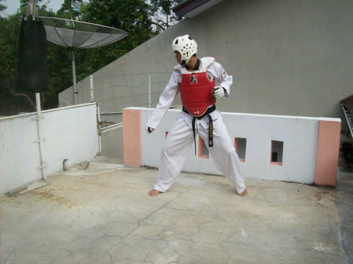 Karate and Taekwondo Fighter.
Geological Engineering in Jenderal Soedirman University year 2011, Hala! Madrid