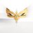 AriaVeils's profile image