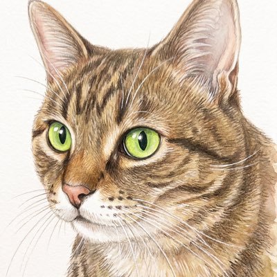 日本のかわいい犬猫のイラストを描いています🐕🐈
生成AIとphotoshopによるレタッチ
全作品、飼い主様に許可をいただいております

ラインスタンプは⬇️のリンクから