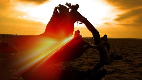 danieleberti83's profile picture. 