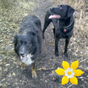 Huge lover of dogs, wine, food, gardening and traveling. Proud Edmontonian!