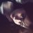 lesliediazvb's profile image