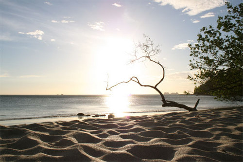 HighAndLowTides's profile picture. Who has not surfed high and low tides?