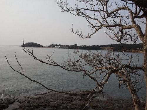 waytoo5302's profile picture. 