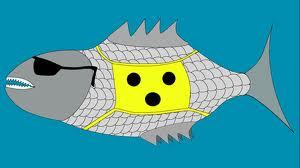 atze blindfish Profile
