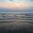 bart_rochon's profile image
