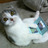 followagency's profile image