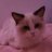 WilliamLeewin's profile image