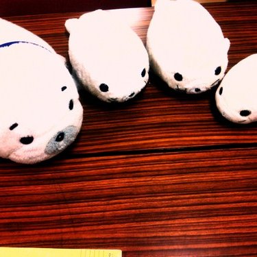 ごまふあざらし(GomahuAzarashi) (@MathSorcerer) / Posts / X