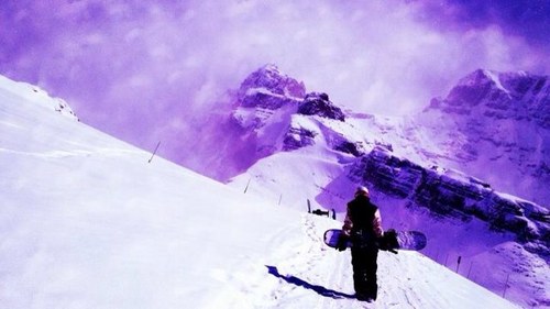 sarshar16's profile picture. LTD