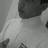 brunoh_cesar's profile image