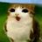 Fannyppml's profile image