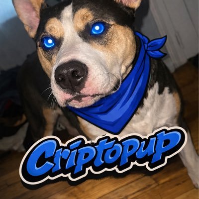 criptopup's profile image
