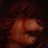 ashzxuxu's profile image
