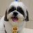 antoniot181's profile image