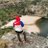 KG__Gumede's profile image