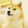 Kabosu