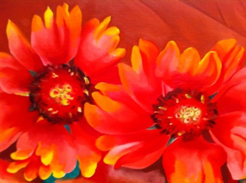 MDenihan's profile picture. 