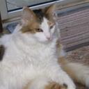 Ned Swift - @nwswift - Twitter