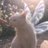hollow_mags's profile image