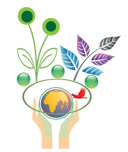 I am the founder of Seeds of Sharing, an initiative designed to collect in-kind donations for the purpose of building the capacity of nonprofit organizations.
