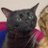 444aev's profile image