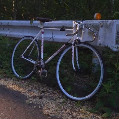 自転車初心者ですので何卒!
ゆるポタです
ピスト関連の投稿を挙げようと思います。